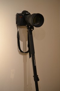 manfrotto 一脚 プロフェッショナル一脚 681B + 一脚ティルトトップ 234 with Nikon D3 + 200mmF2